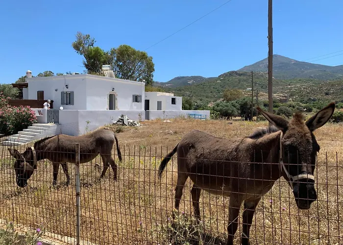 Manos' Dream 펜션 Embourios (Milos)